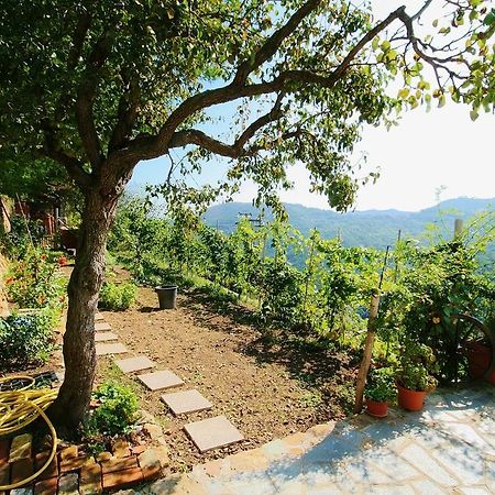Agriturismo Costamagna Noli Exterior foto